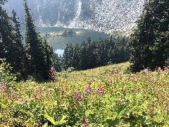 Maple Heather Trail, WA